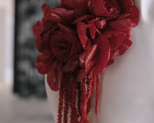 Fashion Photo Shoot - Photo № 1