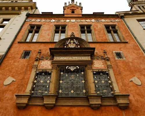 Emma & Oliver - Photo № 6