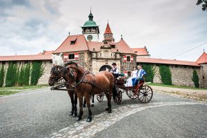After the wedding ceremony, you can ride in the castle park in a carriage