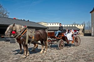 After the wedding ceremony, a horse-drawn carriage ride awaits you