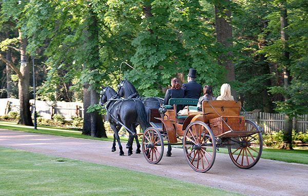 После свадебной церемонии можно совершить прогулку в карете по парку усадьбы