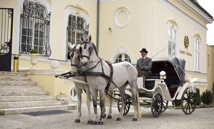 After the wedding ceremony, you will have a carriage ride through the park of the estate